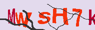キャプチャ(CAPTCHA)認証コード