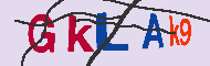 キャプチャ(CAPTCHA)認証コード