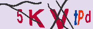 キャプチャ(CAPTCHA)認証コード