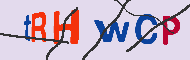 キャプチャ(CAPTCHA)認証コード