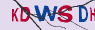 キャプチャ(CAPTCHA)認証コード
