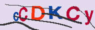 キャプチャ(CAPTCHA)認証コード