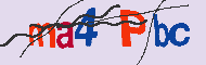 キャプチャ(CAPTCHA)認証コード