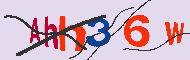 キャプチャ(CAPTCHA)認証コード
