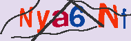 キャプチャ(CAPTCHA)認証コード