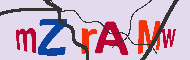 キャプチャ(CAPTCHA)認証コード