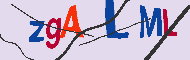 キャプチャ(CAPTCHA)認証コード
