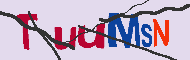 キャプチャ(CAPTCHA)認証コード