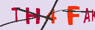 キャプチャ(CAPTCHA)認証コード