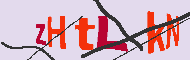 キャプチャ(CAPTCHA)認証コード