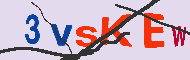 キャプチャ(CAPTCHA)認証コード