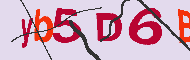 キャプチャ(CAPTCHA)認証コード