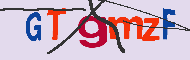 キャプチャ(CAPTCHA)認証コード