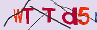 キャプチャ(CAPTCHA)認証コード