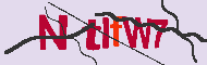 キャプチャ(CAPTCHA)認証コード