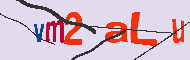 キャプチャ(CAPTCHA)認証コード