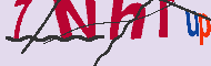 キャプチャ(CAPTCHA)認証コード