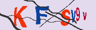 キャプチャ(CAPTCHA)認証コード
