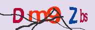 キャプチャ(CAPTCHA)認証コード