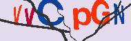 キャプチャ(CAPTCHA)認証コード
