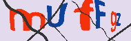 キャプチャ(CAPTCHA)認証コード