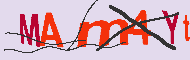 キャプチャ(CAPTCHA)認証コード
