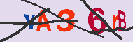 キャプチャ(CAPTCHA)認証コード