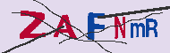 キャプチャ(CAPTCHA)認証コード
