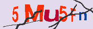 キャプチャ(CAPTCHA)認証コード