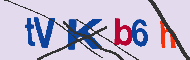 キャプチャ(CAPTCHA)認証コード