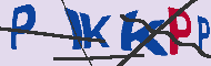 キャプチャ(CAPTCHA)認証コード