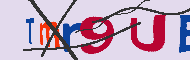 キャプチャ(CAPTCHA)認証コード