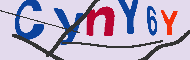 キャプチャ(CAPTCHA)認証コード