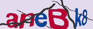 キャプチャ(CAPTCHA)認証コード