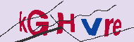 キャプチャ(CAPTCHA)認証コード