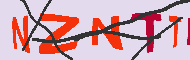 キャプチャ(CAPTCHA)認証コード