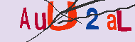キャプチャ(CAPTCHA)認証コード