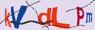 キャプチャ(CAPTCHA)認証コード