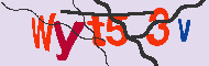 キャプチャ(CAPTCHA)認証コード