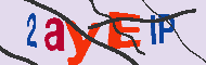 キャプチャ(CAPTCHA)認証コード