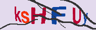 キャプチャ(CAPTCHA)認証コード