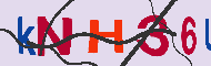 キャプチャ(CAPTCHA)認証コード