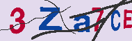 キャプチャ(CAPTCHA)認証コード