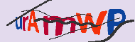 キャプチャ(CAPTCHA)認証コード