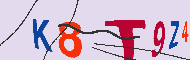 キャプチャ(CAPTCHA)認証コード