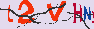 キャプチャ(CAPTCHA)認証コード