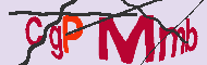 キャプチャ(CAPTCHA)認証コード