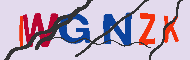 キャプチャ(CAPTCHA)認証コード