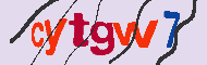 キャプチャ(CAPTCHA)認証コード