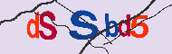 キャプチャ(CAPTCHA)認証コード